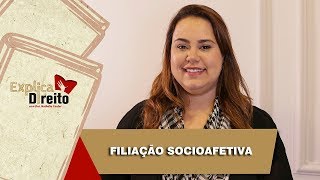 Explica Direito Filiação Socioafetiva  2019 [upl. by Adav826]